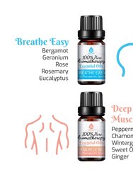6 Pack of 100% Pure Essential Aromatherapy Oils Blends