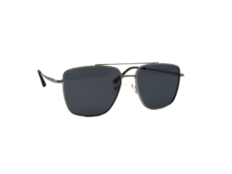 Emile Polarized Sunglasses - Silver