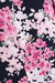 Floral Print Midi Dip Hem Dress