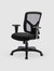 Ergonomic Task Chair