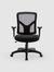 Ergonomic Task Chair