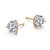 Rachel Glauber White Gold Plated and Clear Cubic Zirconia Solitaire Stud Earrings - Gold