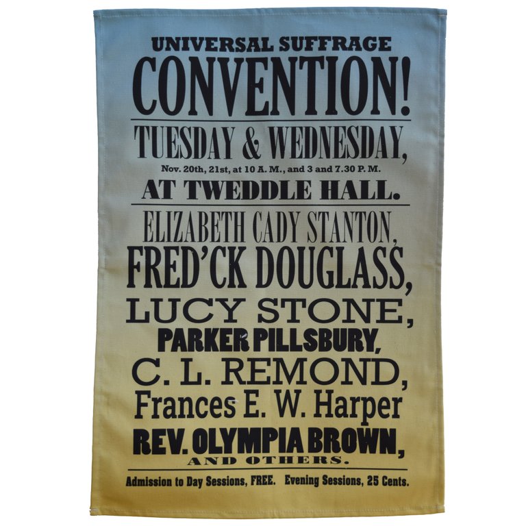 Seneca Falls Convention Tea Towel