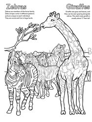 A Day at the Zoo LapTop Coloring Book 17 x 11