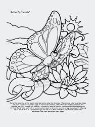 Butterflies And Birds Coloring Book, 8.5 x 11