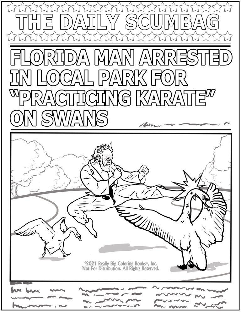 Florida Man! A Coloring Book for Immature Adults 8.5 x 11