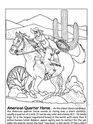 Little Book Of Horses Coloring Books