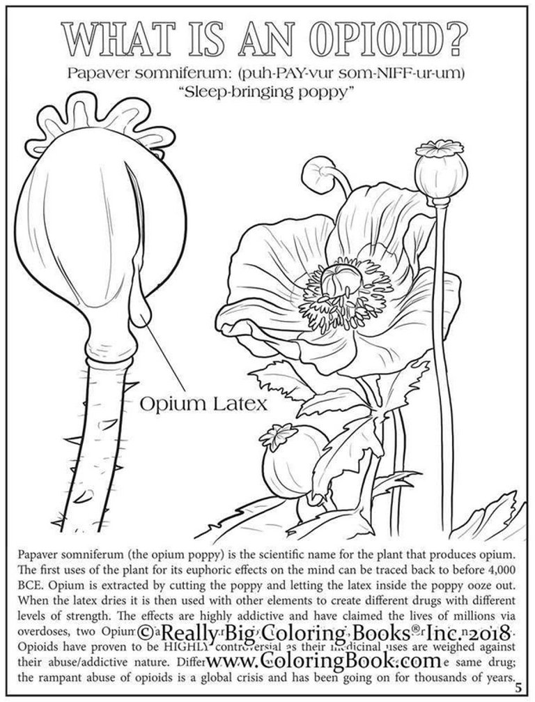 Opioid Crisis Adult Coloring Book Comic