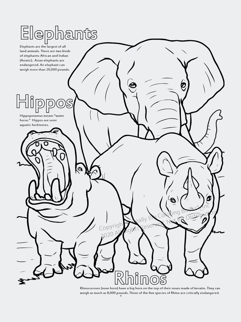 Big coloring book with ocean animals: Big Coloring Book for Kids
