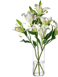  Vitra 10" Glass Cylinder Vase