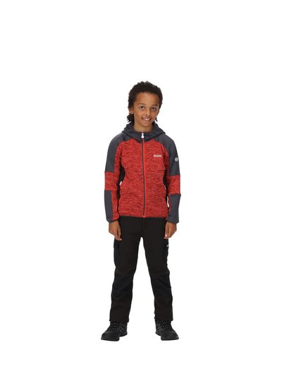 Regatta Childrens/Kids Dissolver V Fleece - Fiery Red/India Grey product