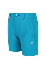 Childrens/Kids Highton Shorts - Enamel