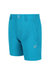 Childrens/Kids Highton Shorts - Enamel