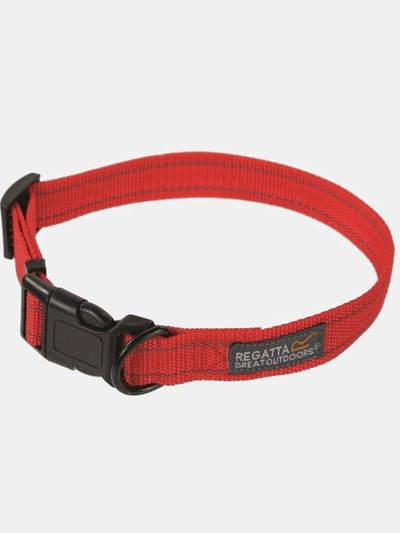 Regatta Comfort Dog Collar - Red product