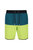 Mens Benicio Swim Shorts - Bright Kiwi/Pacific Green