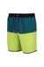 Mens Benicio Swim Shorts - Bright Kiwi/Pacific Green