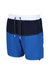 Mens Benicio Swim Shorts - Lapis Blue/Navy