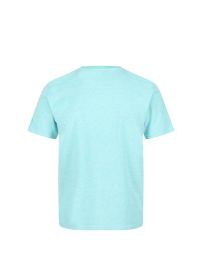 Regatta Mens Caelum Pique T-Shirt - Opal Green product