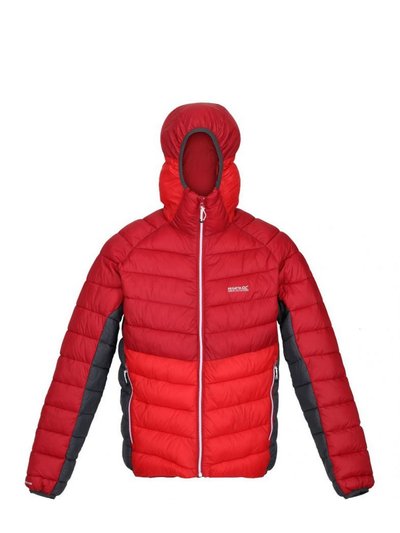 Regatta Mens Harrock Puffer Jacket - Dark Red/Chinese Red product