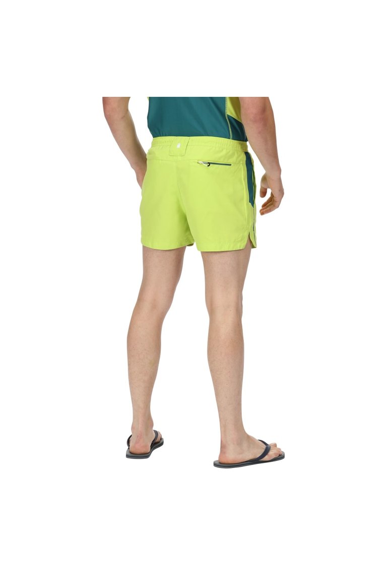 Mens Rehere Shorts - Bright Kiwi/Pacific Green