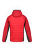 Mens Trutton Hooded Soft Shell Jacket - Chinese Red/Dark Red