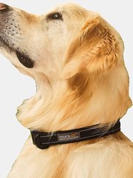 Premium Dog Collar - Black (L, XL)