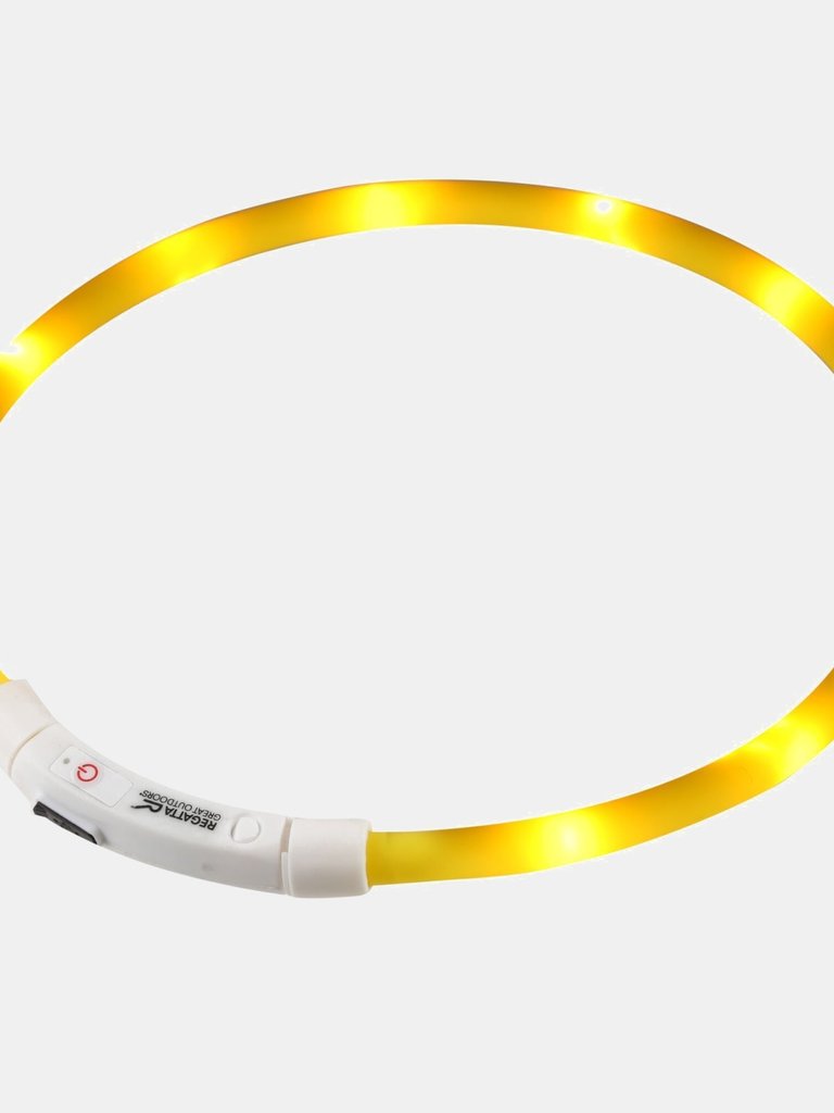 Regatta LED Dog Collar - Yellow
