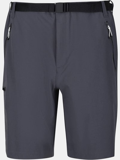 Regatta Regatta Mens Xert III Stretch Shorts (Seal Grey) product