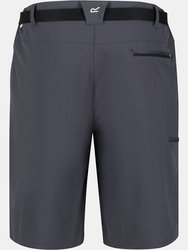 Regatta Mens Xert III Stretch Shorts (Seal Grey)