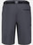 Regatta Mens Xert III Stretch Shorts (Seal Grey)