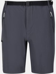 Regatta Mens Xert III Stretch Shorts (Seal Grey) - Seal Grey