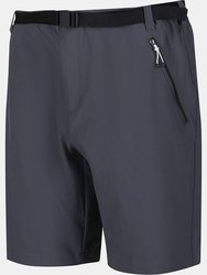 Regatta Mens Xert III Stretch Shorts (Seal Grey)