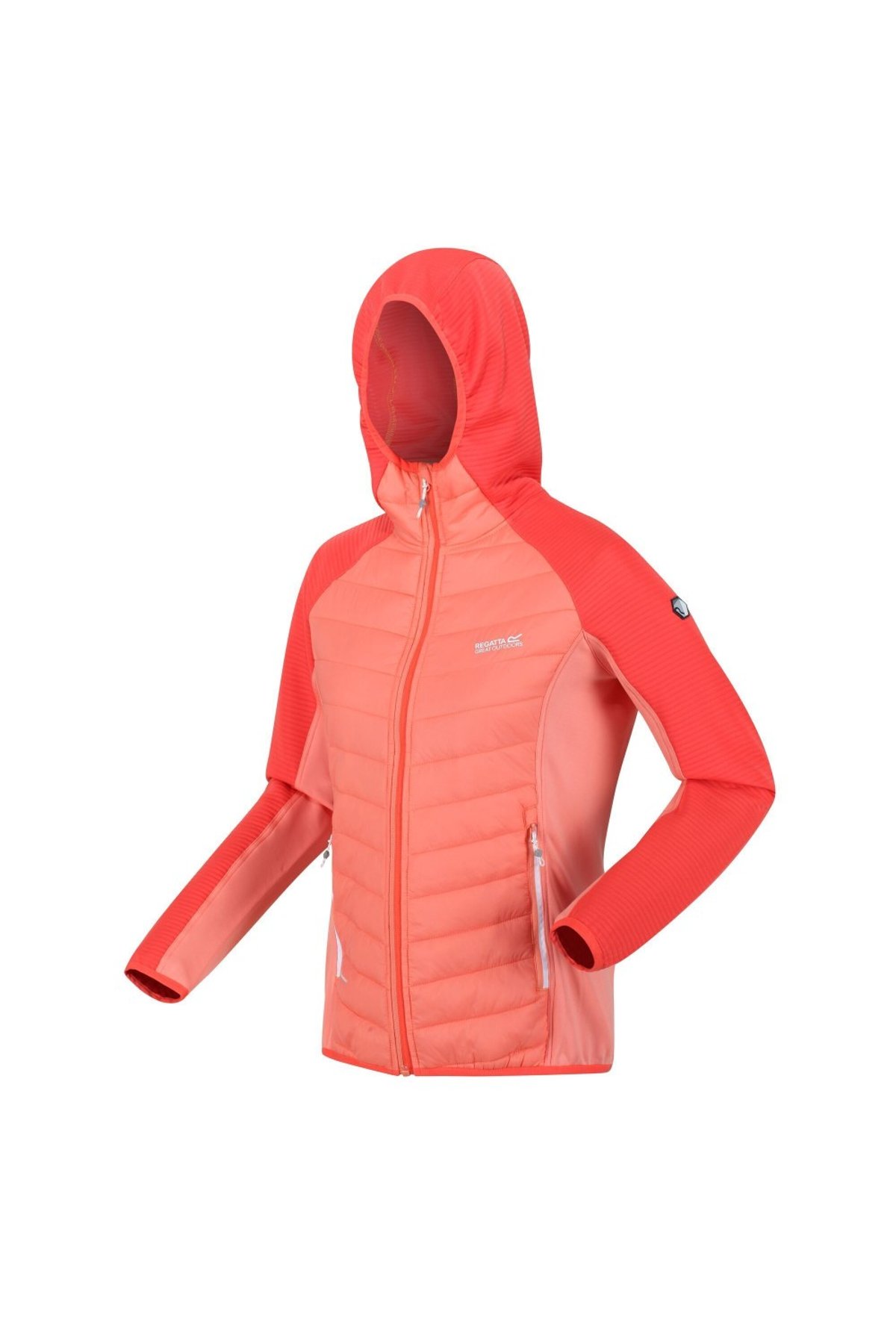 Regatta Andreson VI Giacca Isolante con Cappuccio Trapuntata, Arancione  (Fusion Coral/Neon Peach), S Donna : : Moda