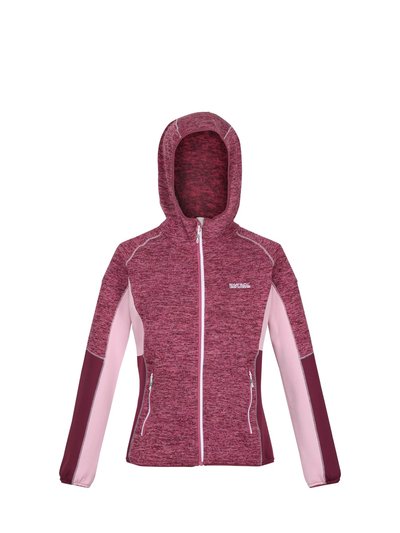 Regatta Womens/Ladies Walbury IV Lightweight Fleece Jacket - Violet/Amaranth Haze product