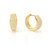 Cubic Zirconia Encrusted Hoop Earrings - Gold