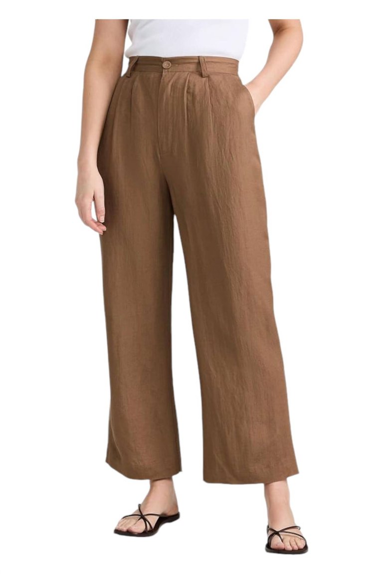 Chloe Pleat Linen Pants In Tobacco