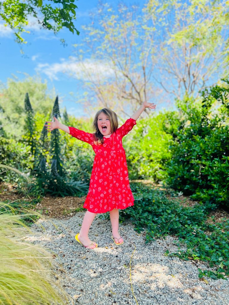 Kids Luna Dress - Red Blossom