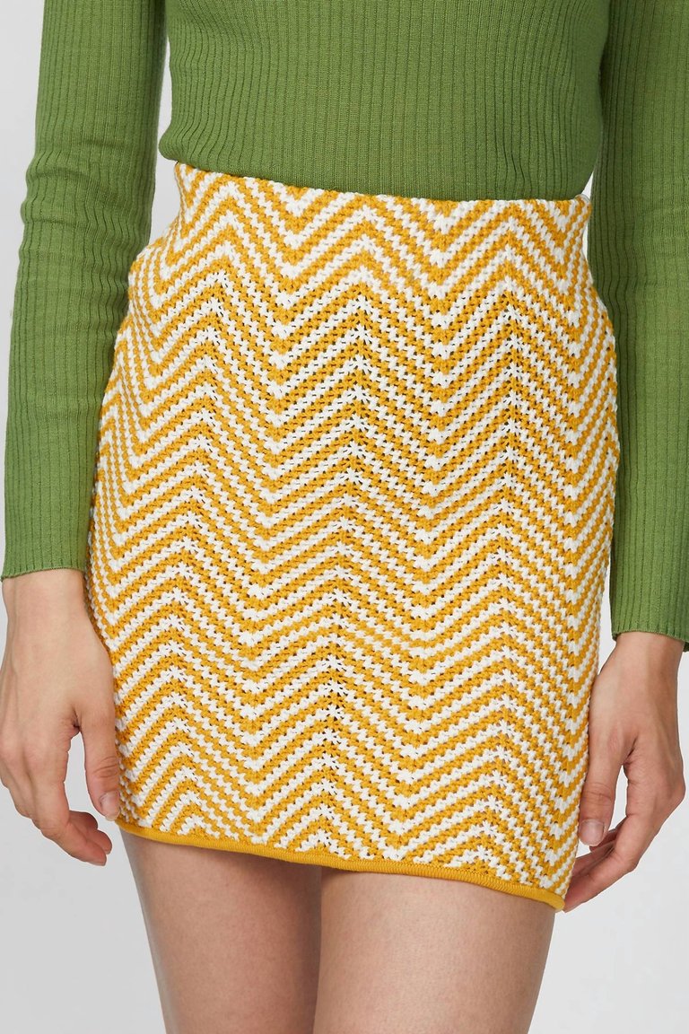 Biance Knit Skirt In Canary Multi - Canary Multi