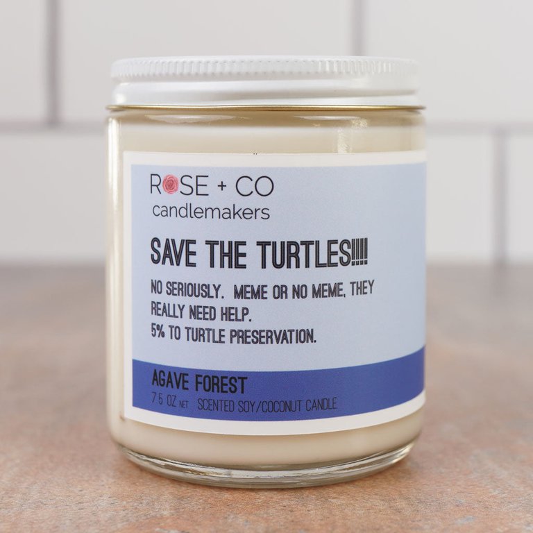 Save The Turtles Candles