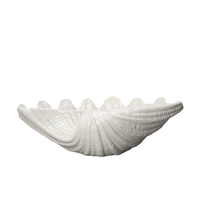 Bowl Shell, Large, White - White