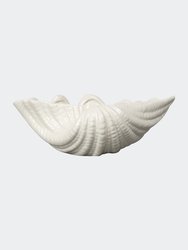 Bowl Shell, Small, White - White