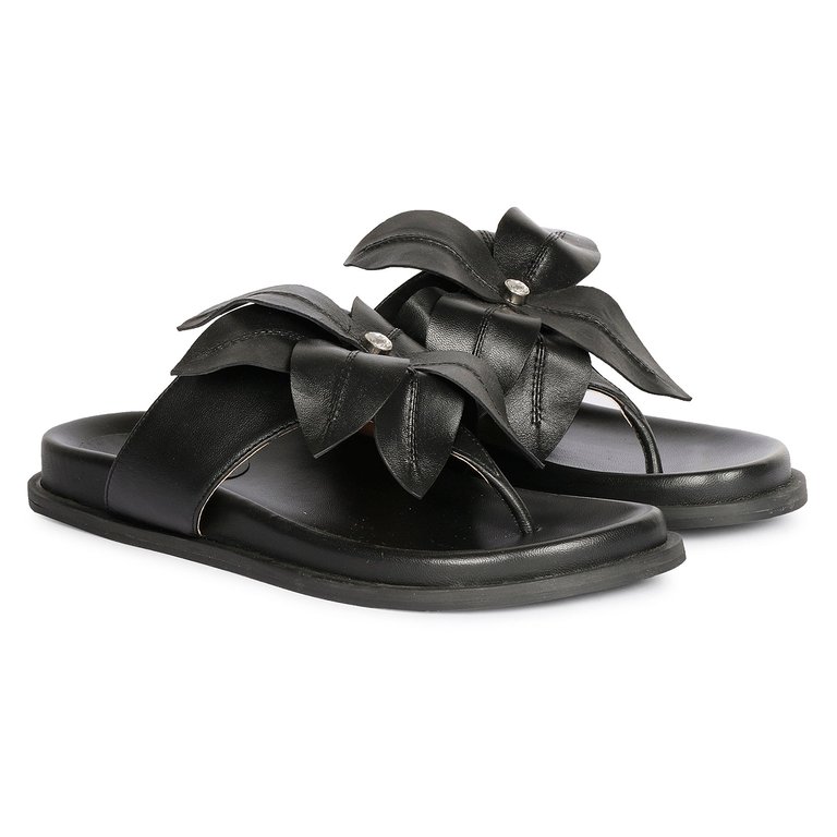 Claudia Black Sandal - Black