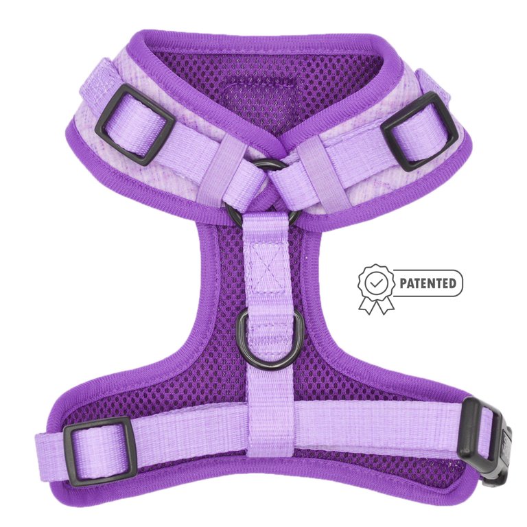 Adjustable Harness - Aurora