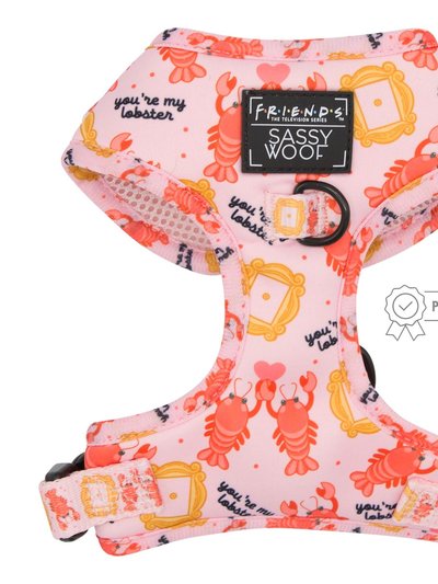 Sassy Woof Adjustable Harness - Friends (Lobster) product