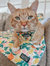 Cat Blanket - Zest Friends