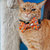 Cat Bowtie - Garfield™