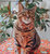Cat Bowtie - Garfield™