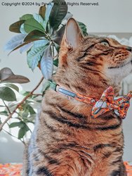Cat Collar - Garfield™