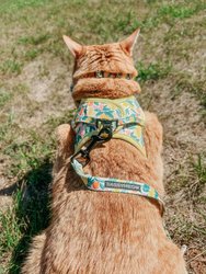 Cat Collar - Zest Friends