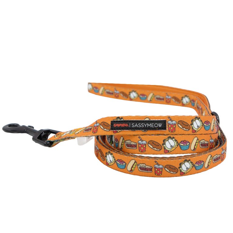 Cat Leash - Garfield™ - Garfield